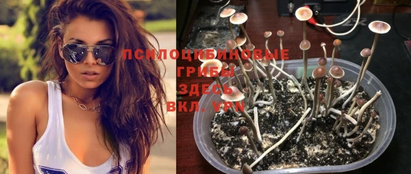 МДПВ Зерноград