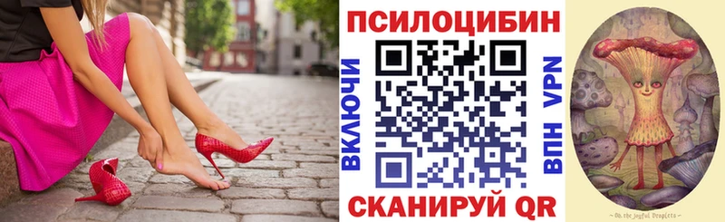 Псилоцибиновые грибы мухоморы  где купить наркотик  Саянск 