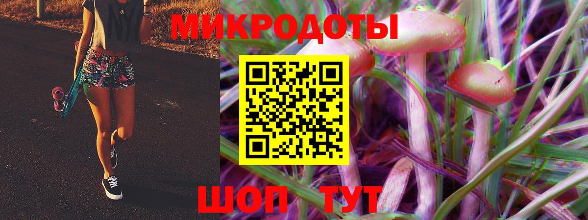 Псилоцибиновые грибы Psilocybe  Вход с VPN  Саянск 
